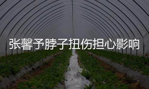 心影响主倒霉伤担持 称好张馨子扭予脖发文